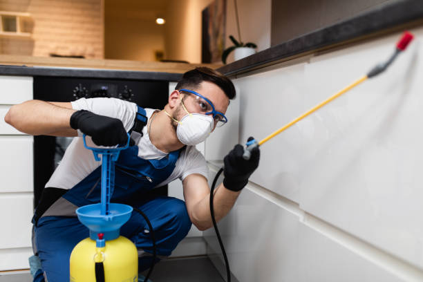 Best Cockroach Control Services  in Rocky Point, NY