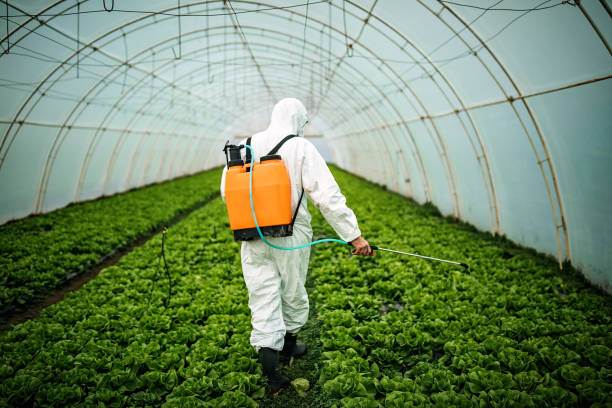 Professional Pest Control in Rocky Point, NY