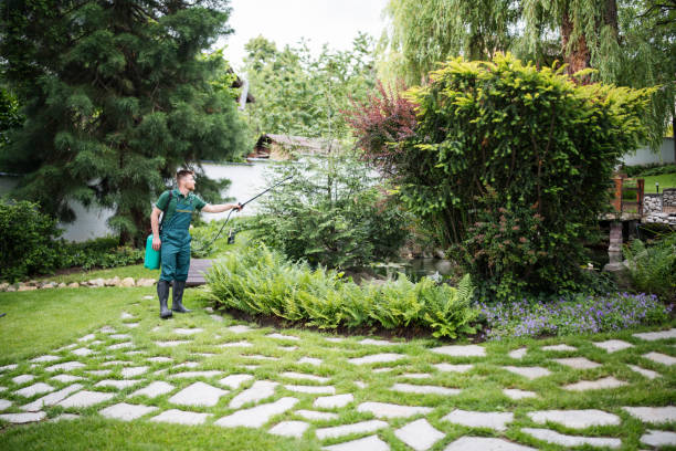Best Cockroach Control Services  in Rocky Point, NY