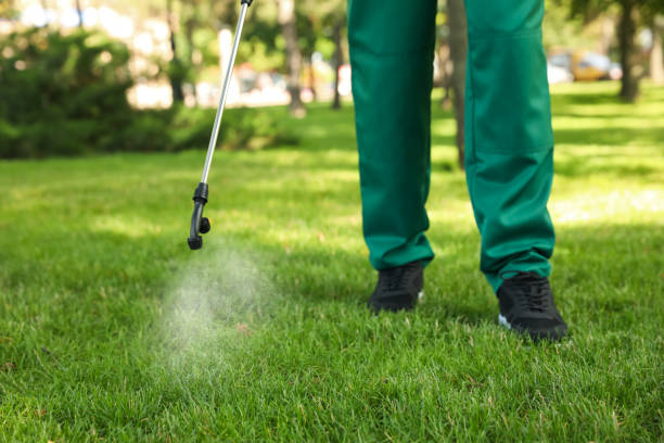 Best Flea Control Services  in Rocky Point, NY