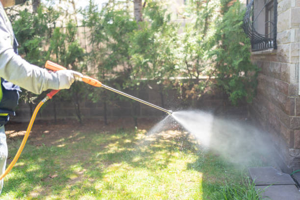 Best Commercial Pest Control Services  in Rocky Point, NY