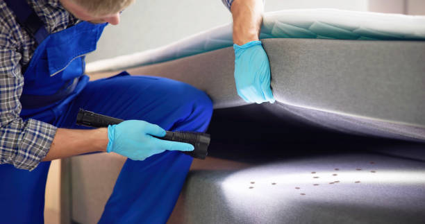 Best Affordable Pest Control Services  in Rocky Point, NY
