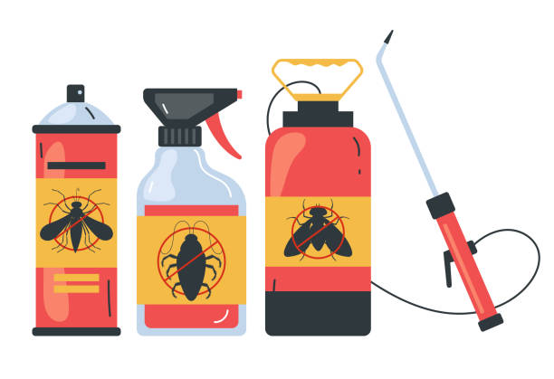 Best Wasp Removal Services  in Rocky Point, NY