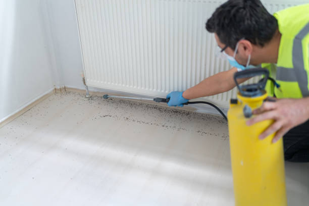 Best Pest Removal Services  in Rocky Point, NY