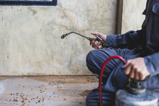Best Pest Prevention Services  in Rocky Point, NY