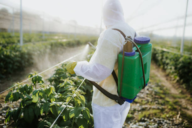 Best Flea Control Services  in Rocky Point, NY